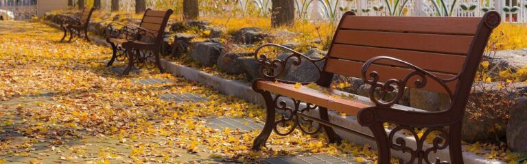 Build Your Dream Park With Sarah Alimoradi